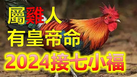 生肖雞年次|屬雞年份｜2024年幾歲？屬雞出生年份+歲數一